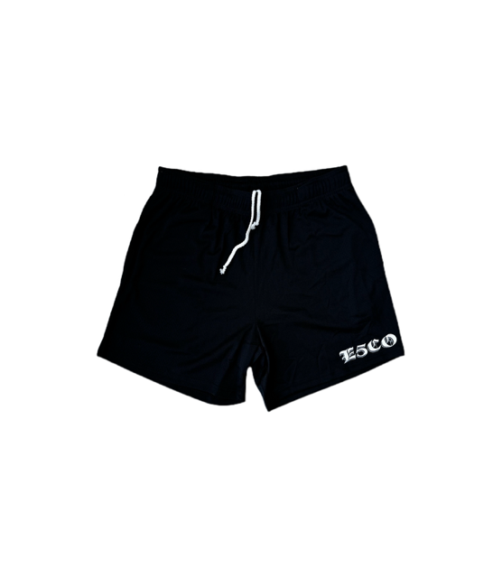 E5CO MESH